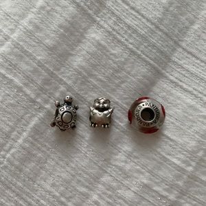 Pandora bracelet charms
